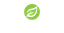 LifeChurch NV logo