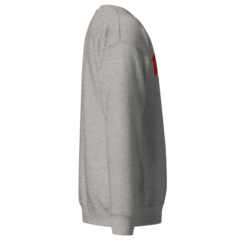 Revival Through Sweatshirt
