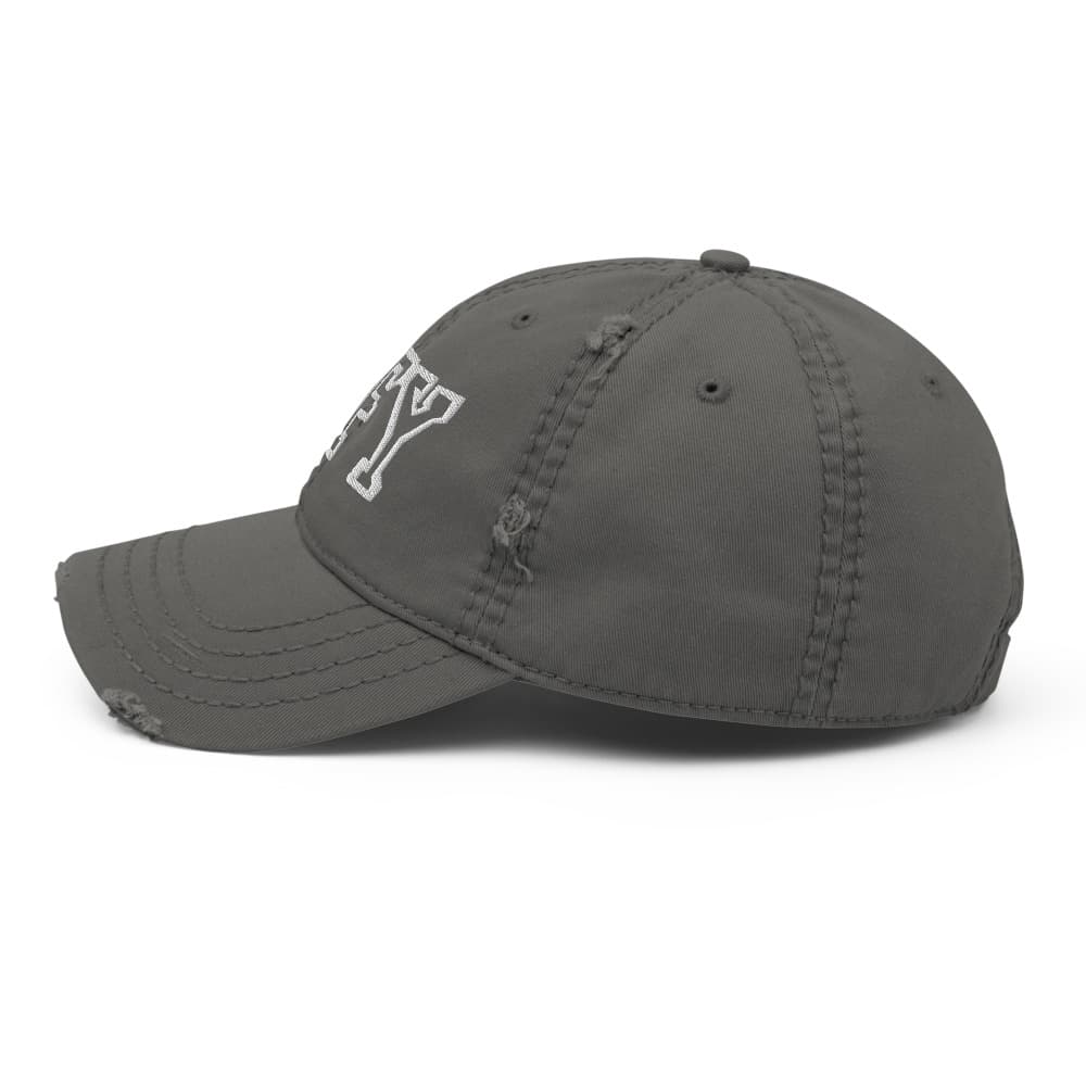 BFY Distressed Hat
