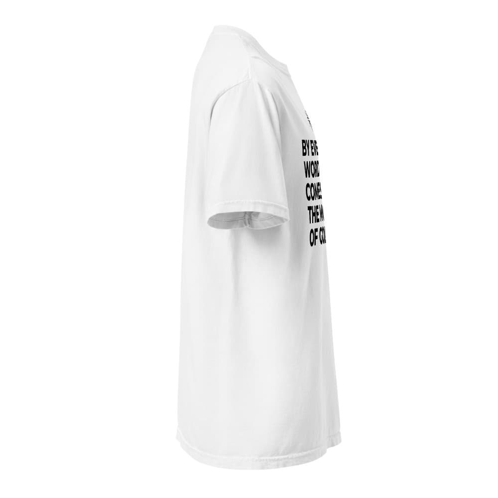 JOHN 3:30 LOGO TEE | Comfort Colors