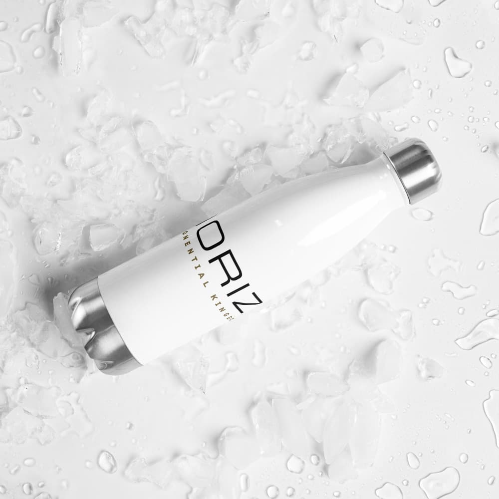 Stainless Steel Water Bottle