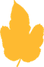 Acacia Church logo