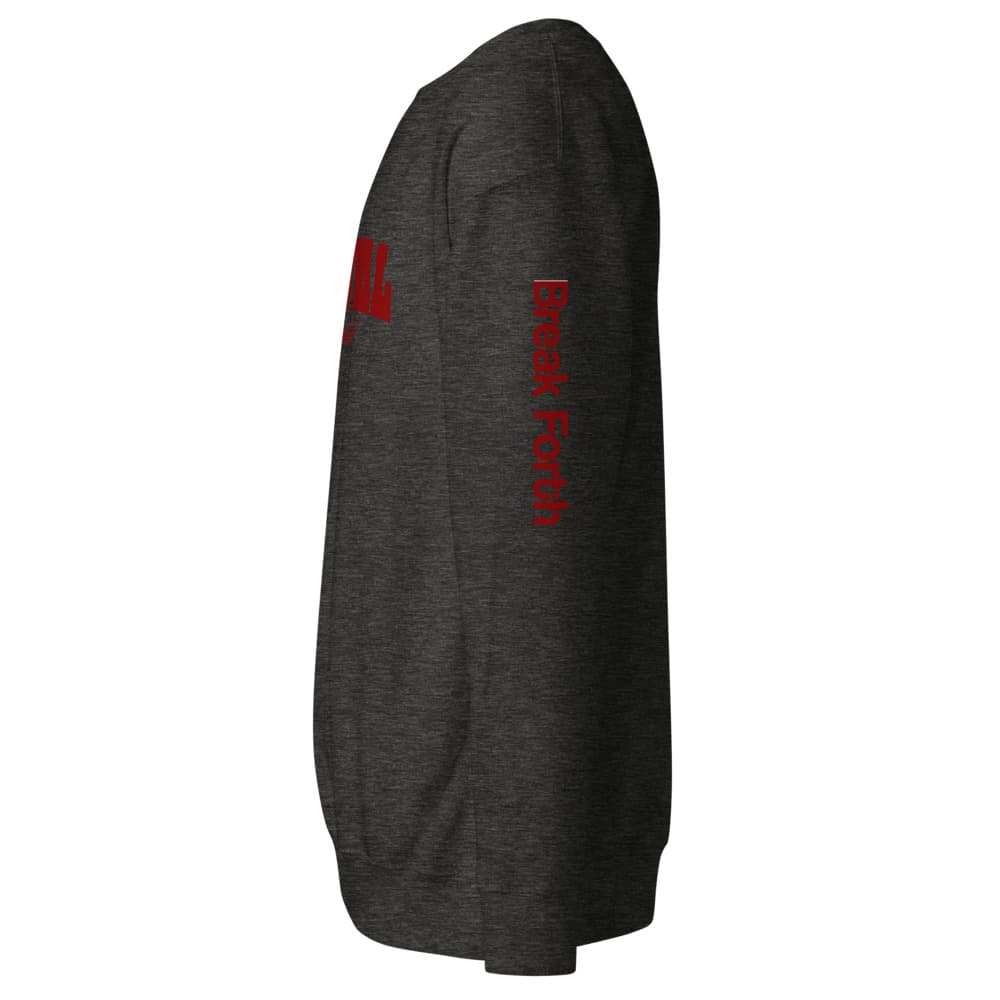 Revival Through Sweatshirt