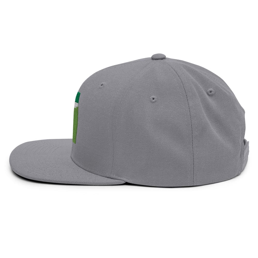 Wool Blend Snapback - CTK Logo