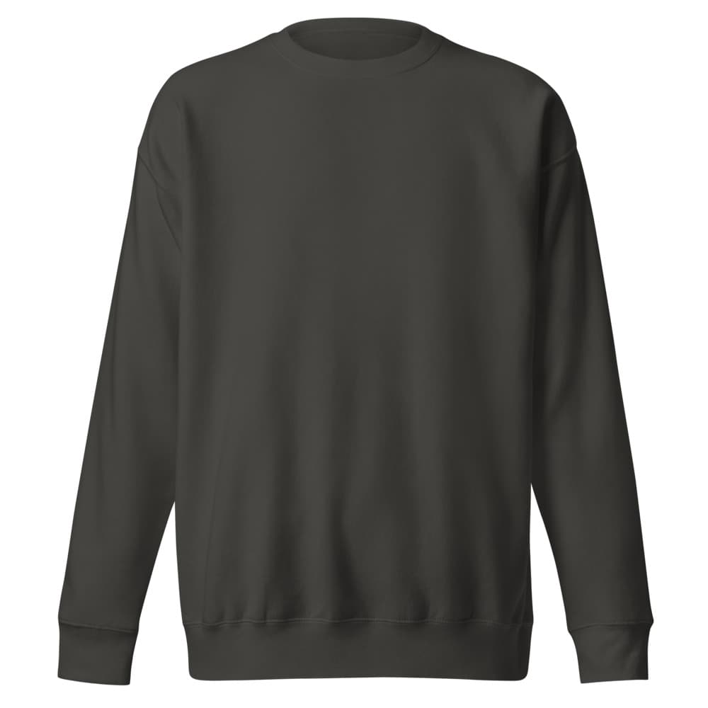 Believer's Rally Sweatshirt *Design on back*